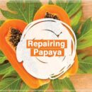 Dark & Lovely | Papaya Hair Treat 390ml